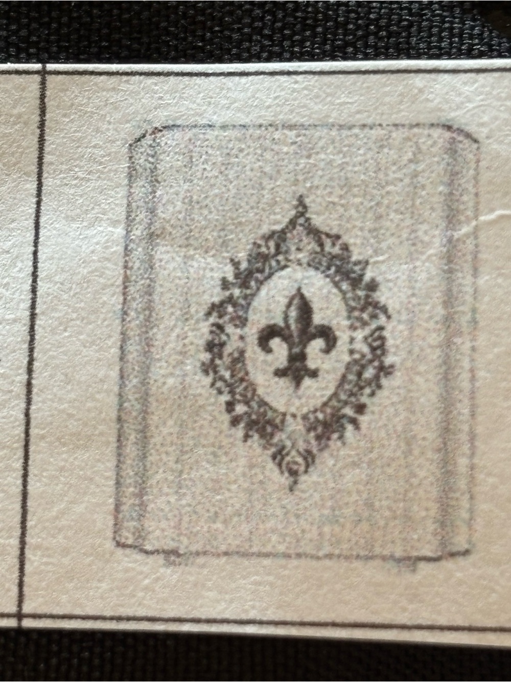 Decorative Fleur-de-Lis Shower Curtain with white hooks